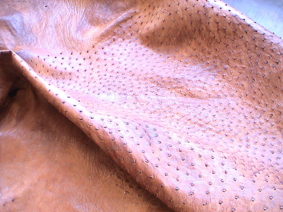 Ostrich skin